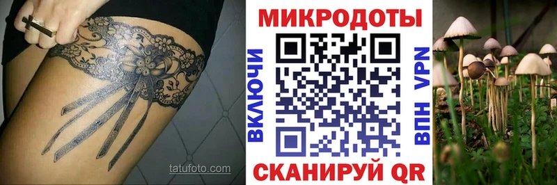 Псилоцибиновые грибы GOLDEN TEACHER  купить закладку  Орлов 